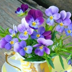 Meet your Posher, Catherine